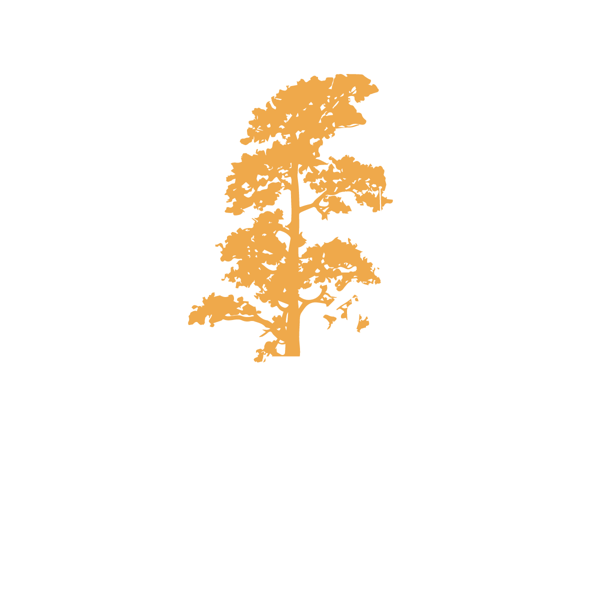 Tr&auml;topp Smedlund